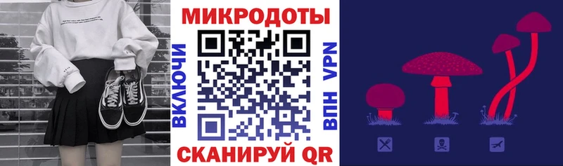 где купить наркоту Асино kraken маркетплейс Псилоцибиновые грибы Psilocybine cubensis